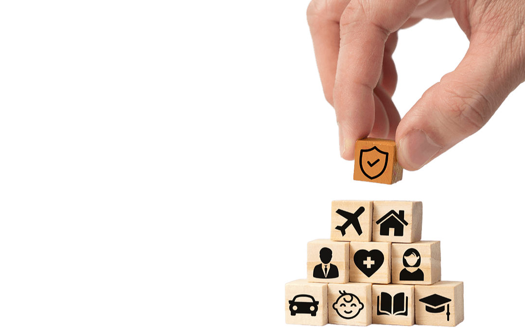 Explore our Products